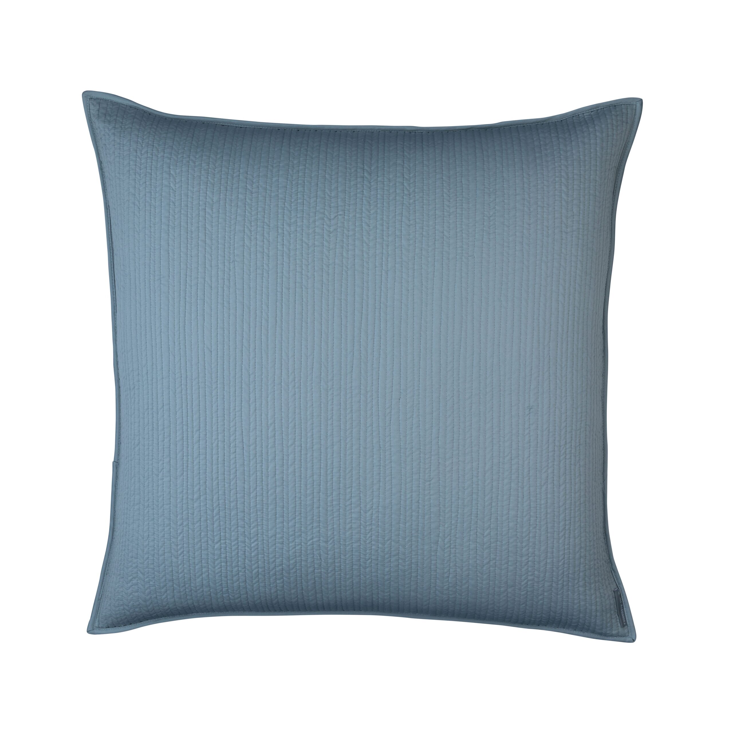 RetroBlueS_SQuiltedEuroPillow.jpg