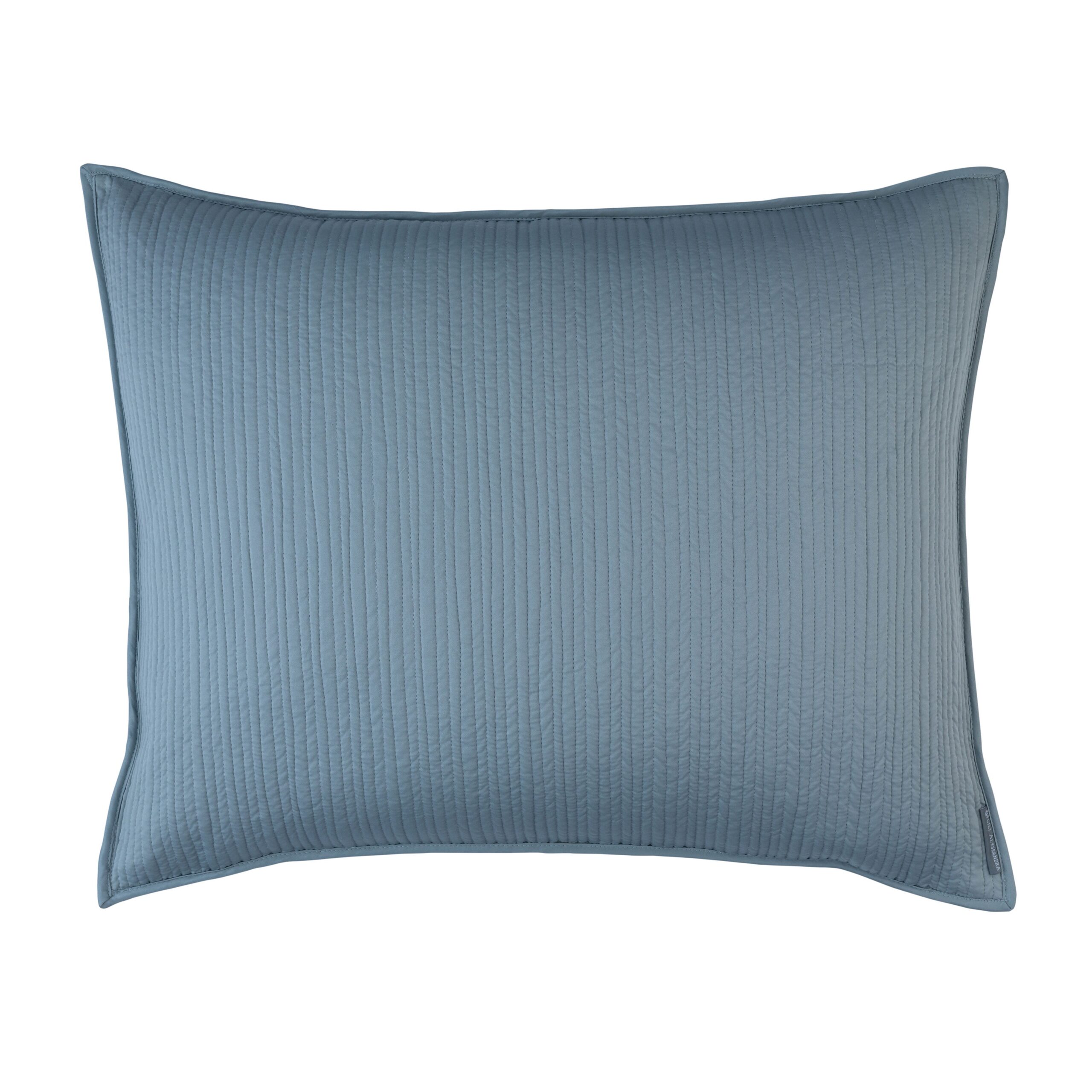 RetroBlueS_SQuiltedLuxeEuroPillow.jpg